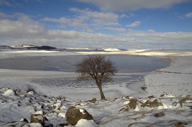 Paysage d'Aubrac