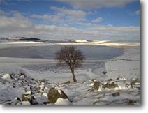 Paysage d'Aubrac en hiver