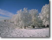 Paysage d'Aubrac en hiver