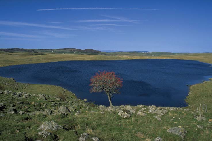 Paysage d'Aubrac